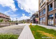 专业目光去买房PS：b、c条完全存正在的环